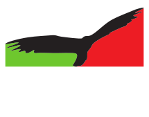 Uccello Design Logo